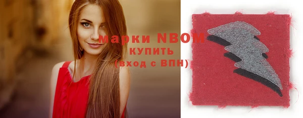 хмурый Вязьма
