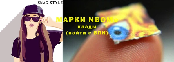 хмурый Вязьма